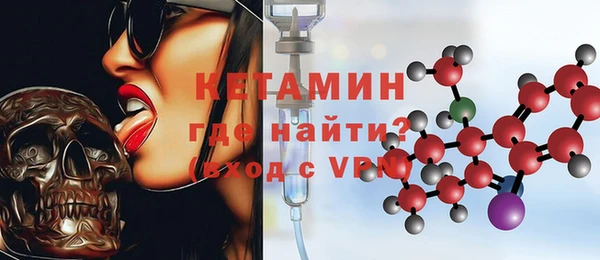 прущие грибы Белокуриха