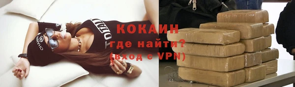 прущие грибы Белокуриха