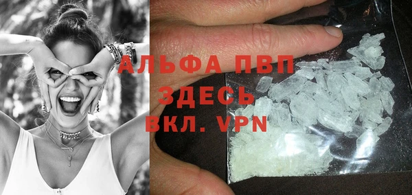 прущие грибы Белокуриха