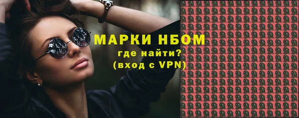 прущие грибы Белокуриха