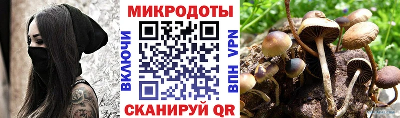 Псилоцибиновые грибы Cubensis  Великие Луки 